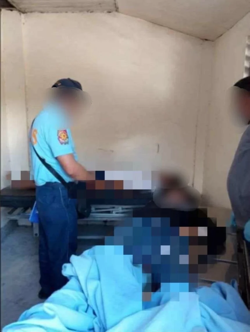 2 brothers electrocuted to death