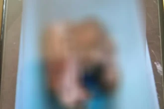 3 dead babies found in harrowing Friday the 13th discovery