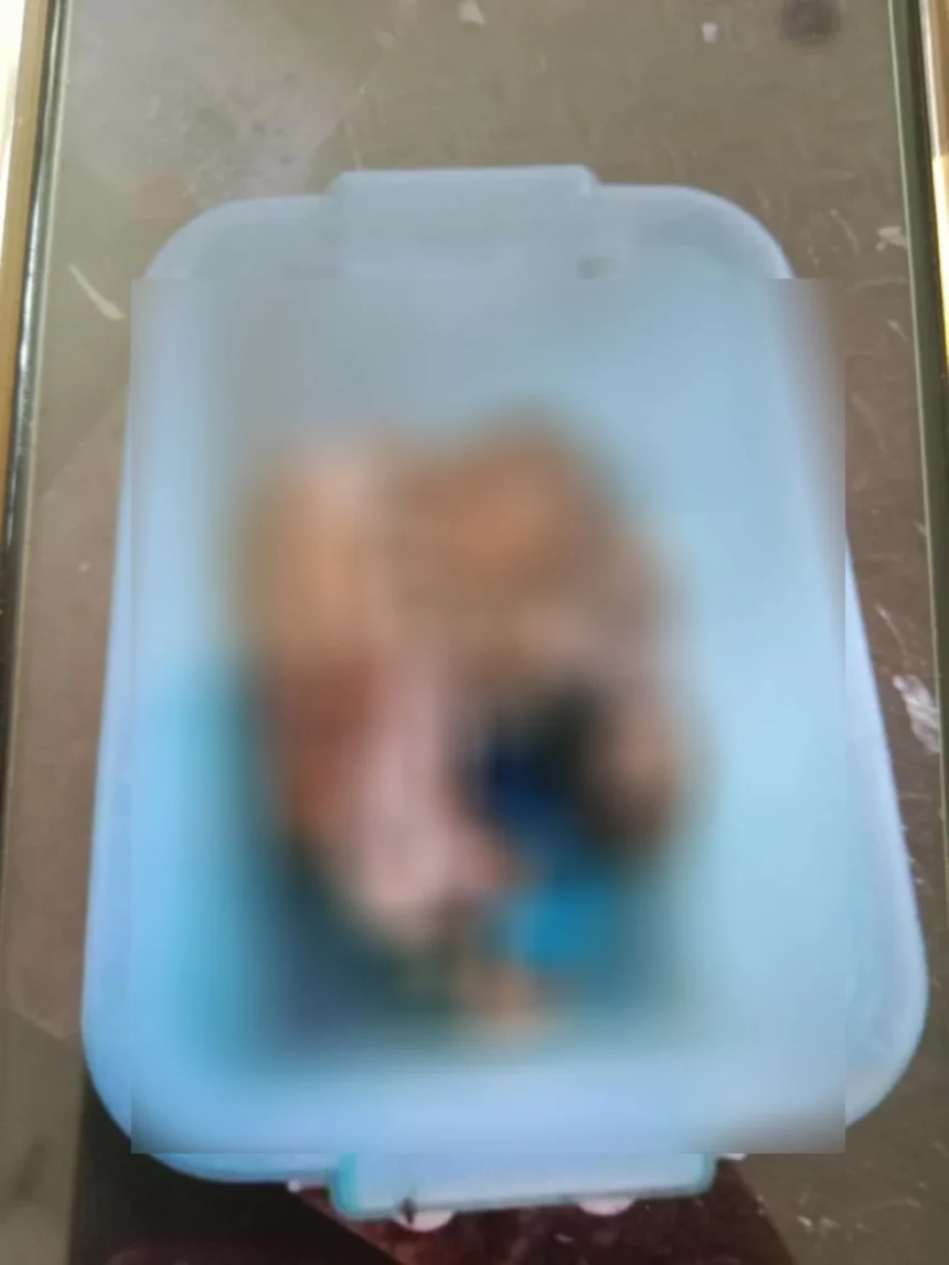 3 dead babies found in harrowing Friday the 13th discovery