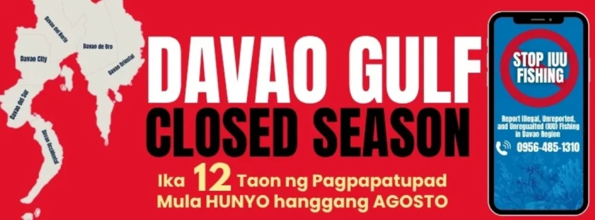 3-month closed fishing season in Davao Gulf begins