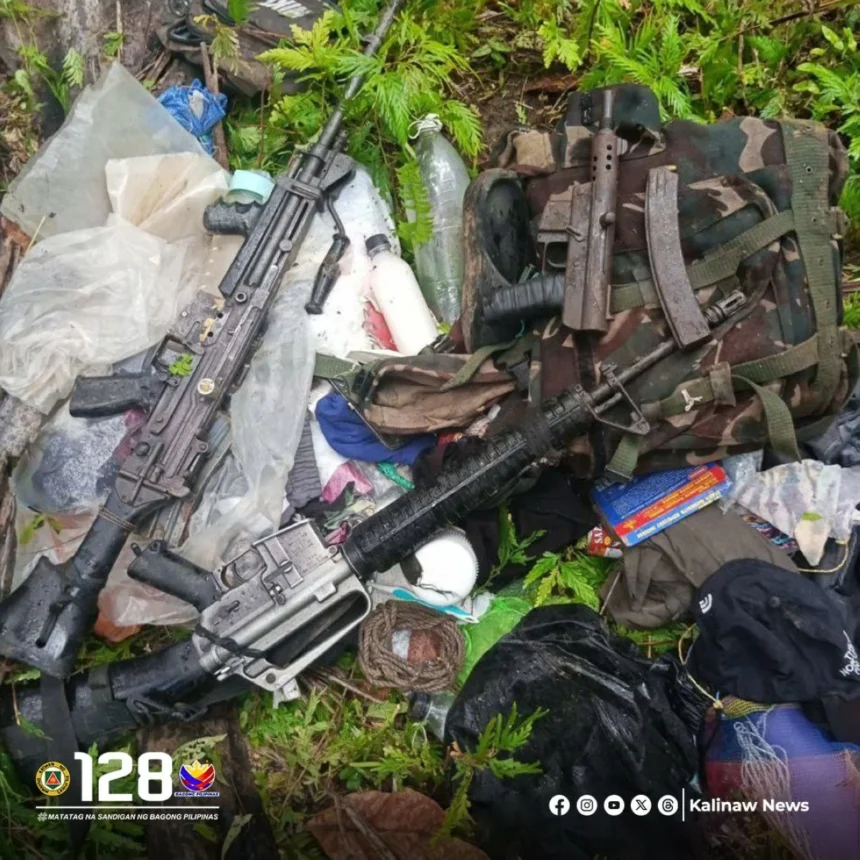 5 NPA rebels killed in Northern Samar clash