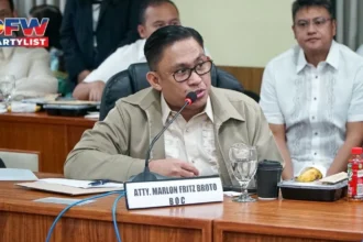 BOC to facilitate OFW's monitoring of balikbayan boxes, solons told in House hearing