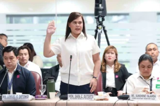 Bad look for Senate if it junks VP Sara impeachment complaint via resolution--solon