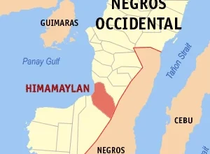 Communist fighter killed in Himamaylan City clash