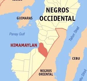 Communist fighter killed in Himamaylan City clash