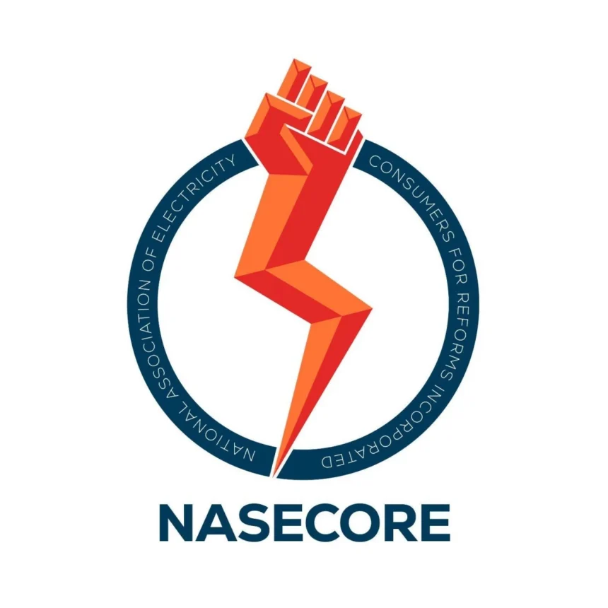 Consumer group urges gov't to revise rules on power supply agreement procurement to lower electricity cost