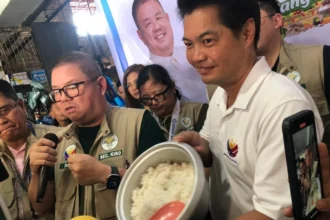 DA chief OKs P10-M pesticide aid to curb red-striped soft scale insects