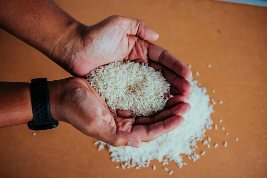 DSWD to pilot P20-per-kilo rice distribution under ‘Walang Gutom’ program