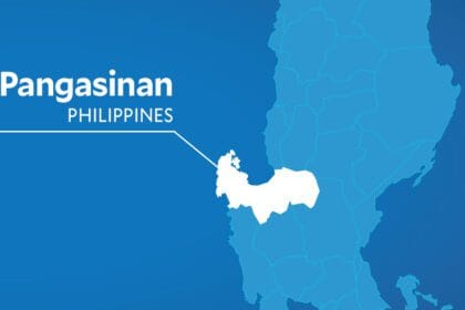 Dolphin stranded in Pangasinan died of respiratory failure -- official