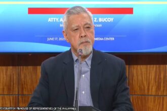Duterte asking to junk case means ‘she has no evidence’ -- Bucoy