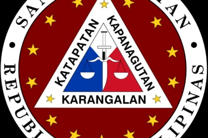 Ex-barangay chairman in Palawan acquitted in malversation of public property charges