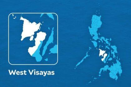 Insect infestation in Western Visayas spreads further