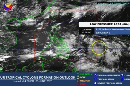 LPA to enter PAR within 24 hours