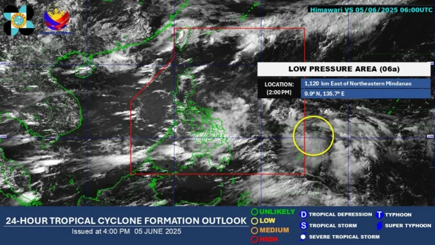 LPA to enter PAR within 24 hours