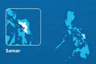 LTO official in Samar suspended over alleged illegal vehicle transfer