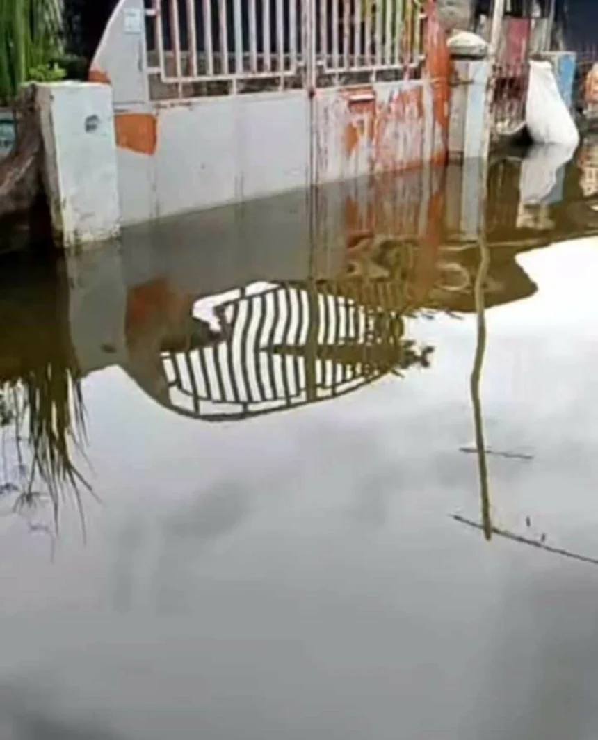 Man, dog electrocuted while sleeping in Bulacan