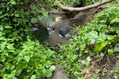 Missing  8-year old girl found dead in Iligan