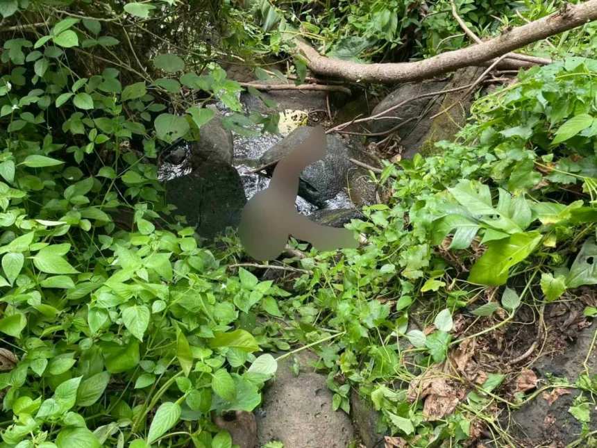 Missing  8-year old girl found dead in Iligan