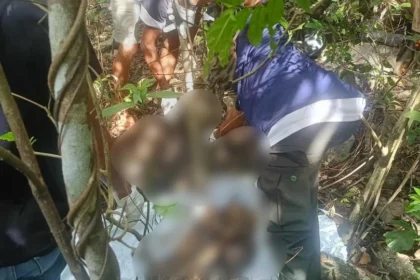 Missing man found dead