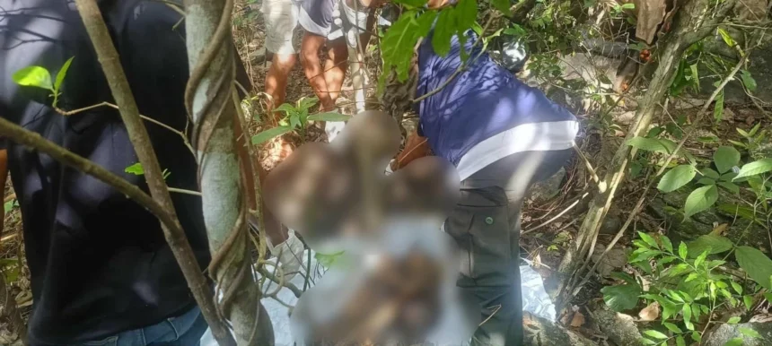 Missing man found dead