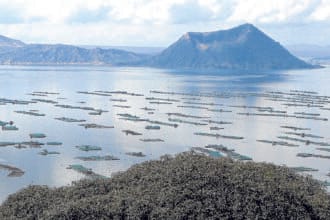 Navy, PCG divers eyed in search for missing 'sabungeros'