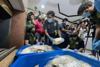 P500-M illegal drugs torched in Cebu City