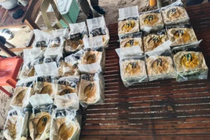 P6.8-M floating shabu recovered in Ilocos Norte