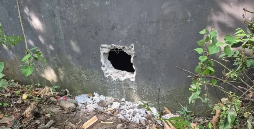 Pharmacy burglarized; P100,000 cash carted away