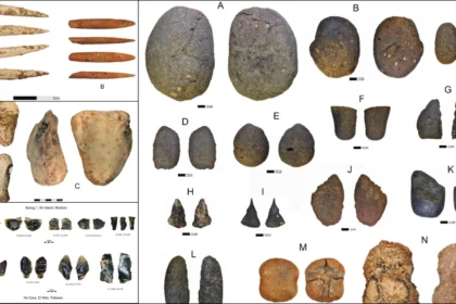 Philippines had advanced maritime culture 35,000 years ago — study