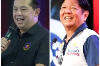 Philippines is in its economic 'breakthrough era', thanks to PBBM--Romualdez