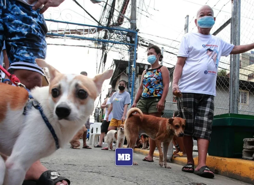 Senators urge PhilHealth to improve anti-rabies coverage