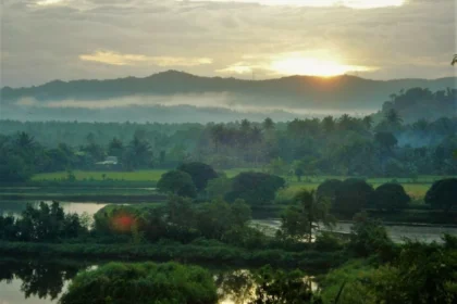 Septuagenarian stabbed dead by neighbor in Quezon