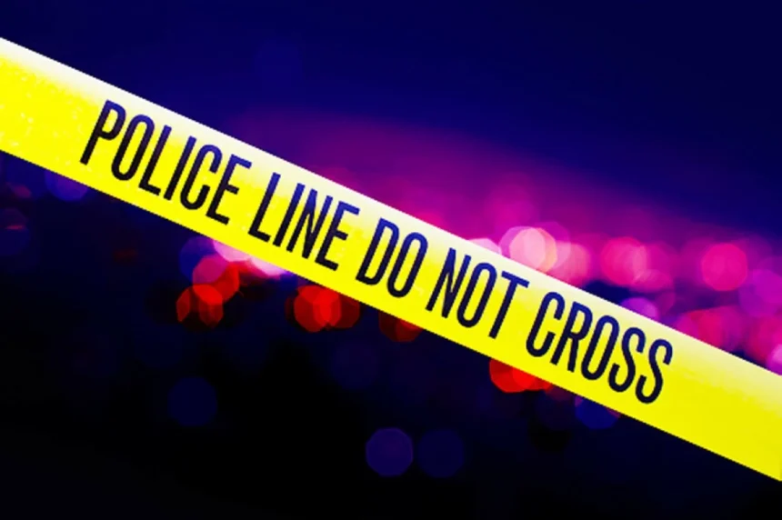 Teenage boy wounded in shooting dies