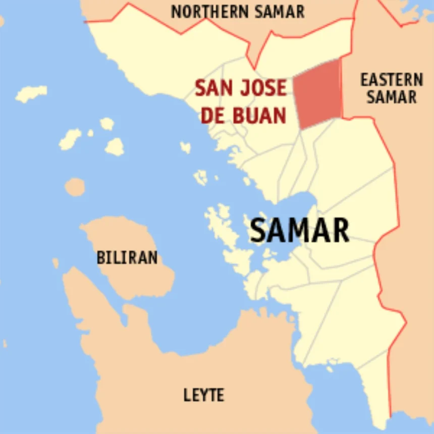 Troops recover 5 firearms in Samar clash