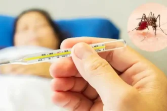 VP Sara cautions public vs dengue, reminds importance of clean surroundings