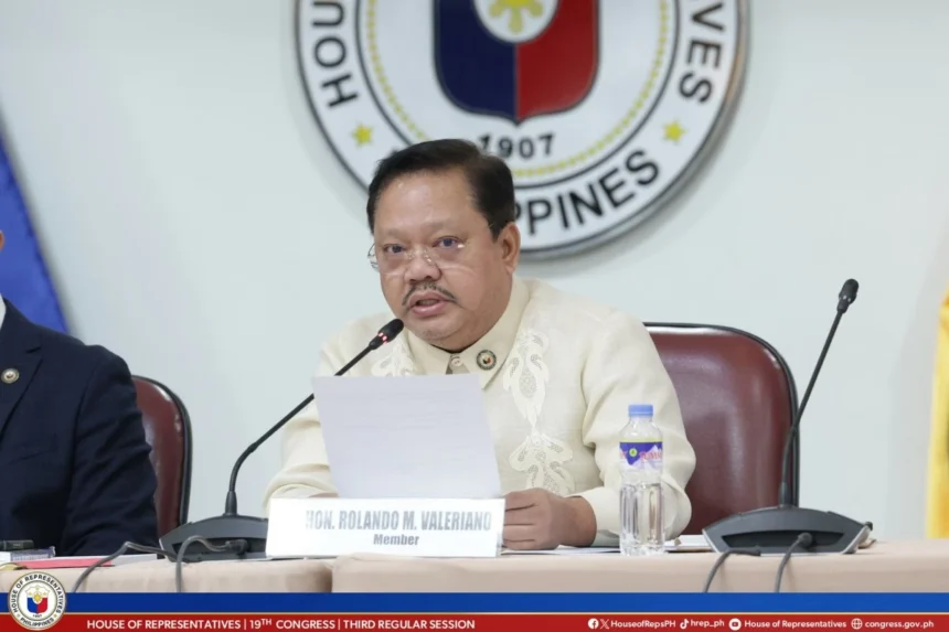 Valeriano calls for House probe on Mayhaligue demolition