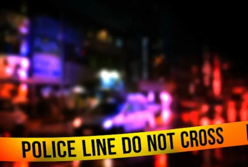 Woman, 74, shot dead in Bulacan