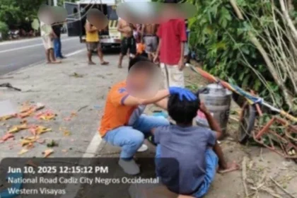 Woman killed, grandson, vendor hurt by wayward truck