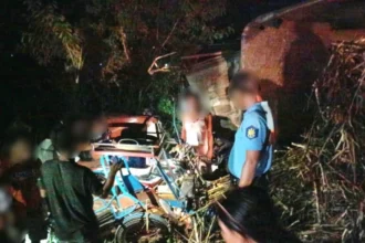 Woman killed in tricycle-truck collision