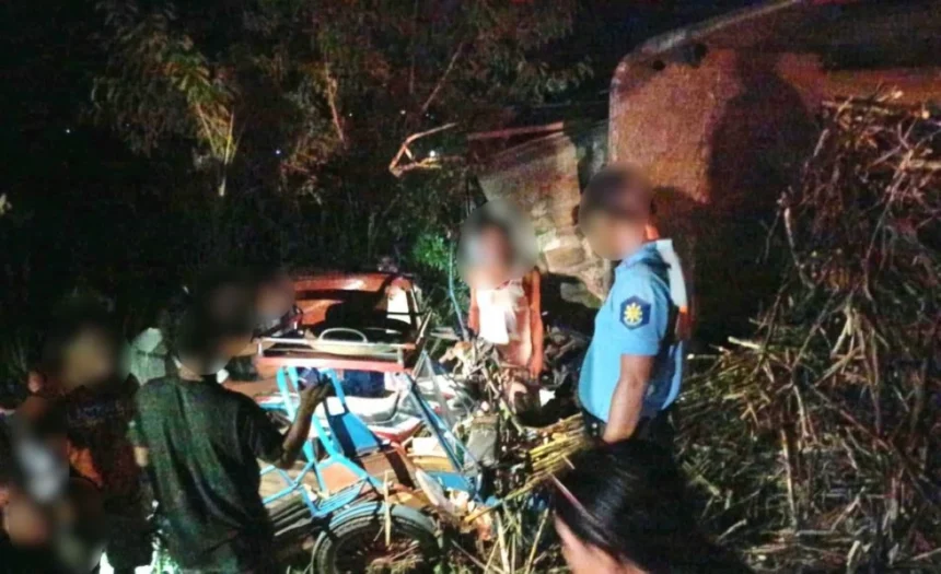 Woman killed in tricycle-truck collision