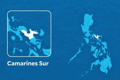 2 dead as tree falls on motorcycle in storm-hit Camarines Sur