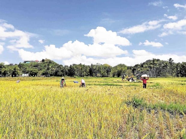 800 farmers to benefit from P970 million Bohol irrigation project