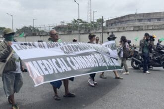 Advocates push medical cannabis bill ahead of Sona