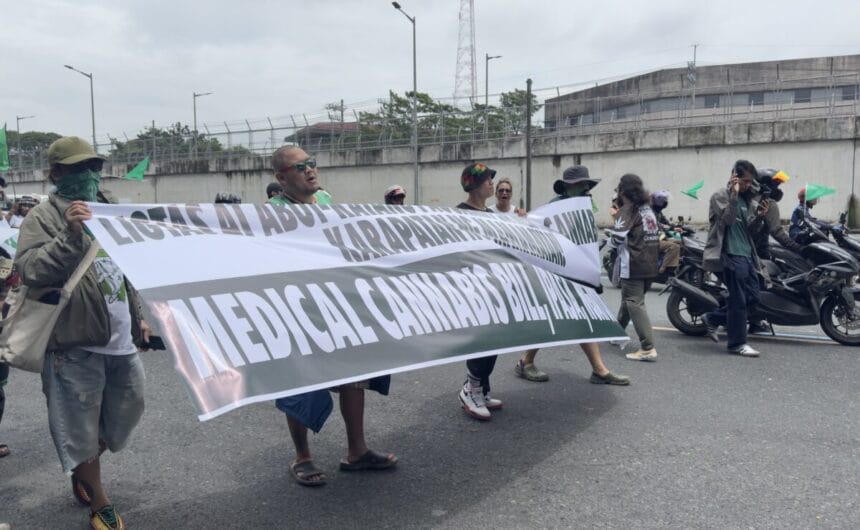 Advocates push medical cannabis bill ahead of Sona