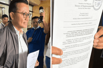 Another Cha-cha resolution needed to push for political amendments