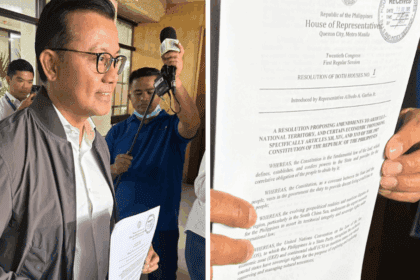 Another Cha-cha resolution needed to push for political amendments