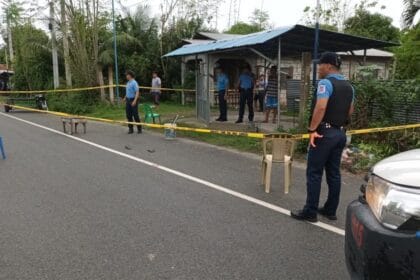 Another village chief slain in Nueva Ecija gun attack