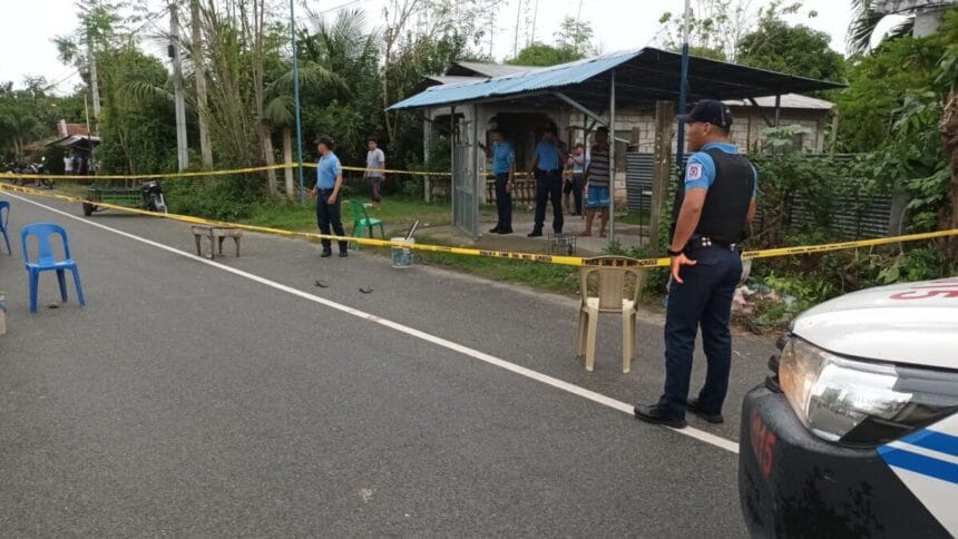 Another village chief slain in Nueva Ecija gun attack