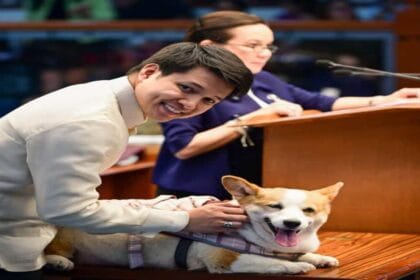 Brian Poe advocates for stronger animal welfare with new bill