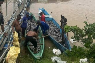 Crising, habagat leave PH with P96.90M in agri damage so far